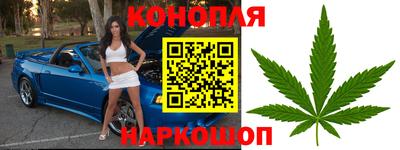 мяу мяу мука Гагарин