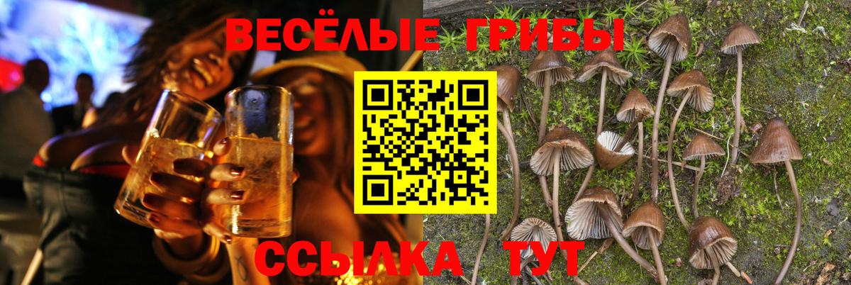 Псилоцибиновые грибы Magic Shrooms  Галлюциногенные грибы мухоморы  Вход с VPN  купить  цена  Орехово-Зуево 