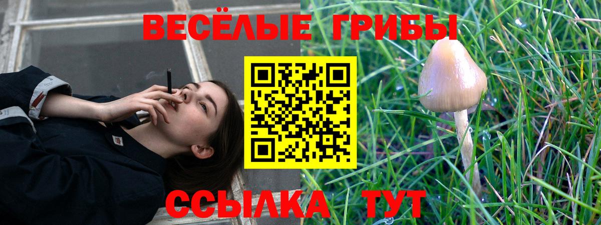 Псилоцибиновые грибы мухоморы Орехово-Зуево